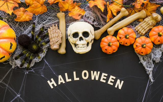 Halloween programok
