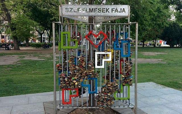 Lánykérés a Szerelmesek Fájánál