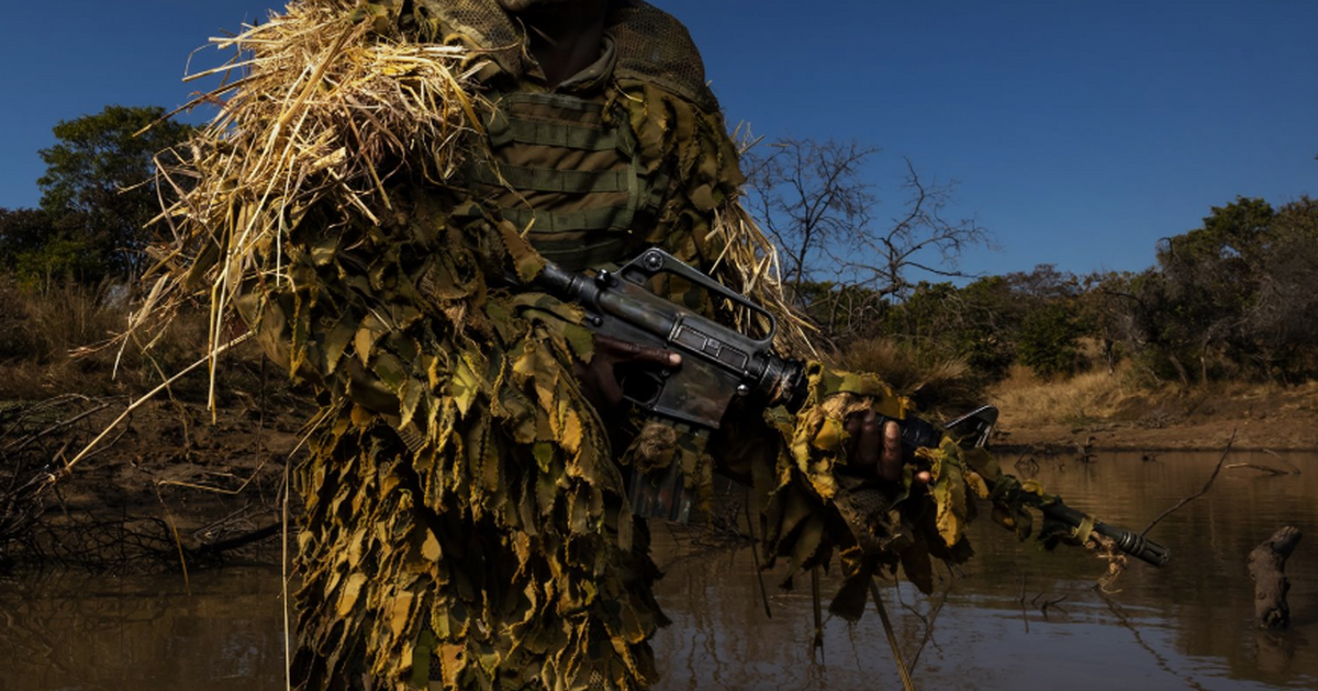 World Press Photo Kiállítás 2019