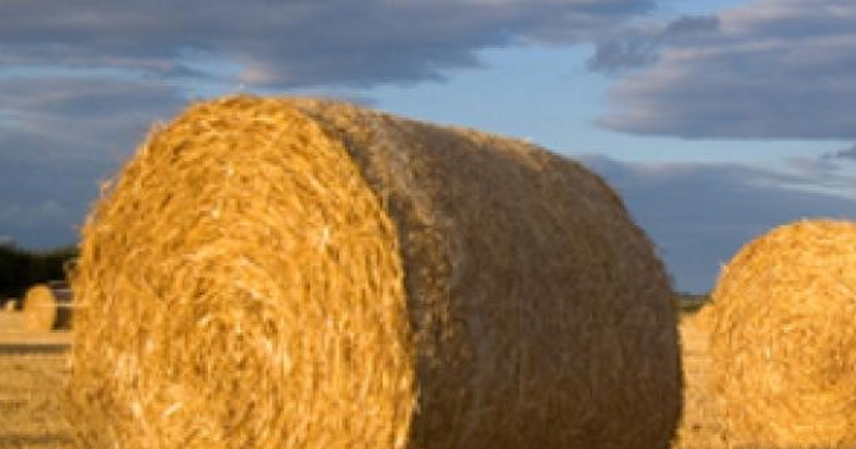 Lánykérés a szalmabálák mellett
